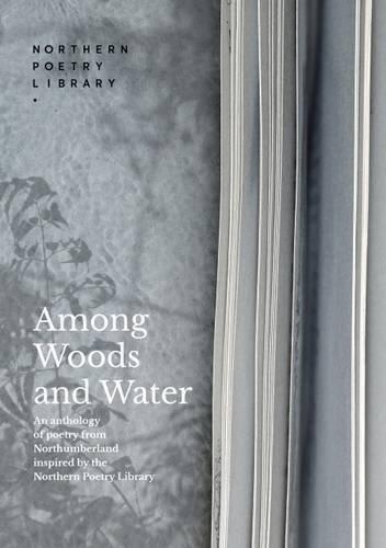 Among Woods and Water