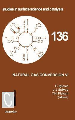 Natural Gas Conversion VI (Volume 136)