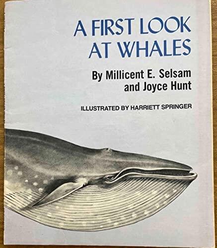 A First Look at Whales
