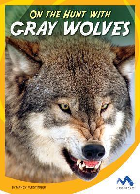 On the Hunt With Gray Wolves