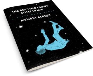 The Boy Who Didn't Come Home