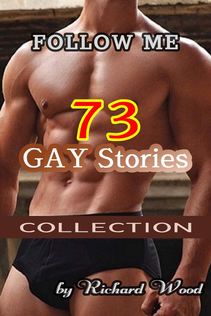 FOLLOW ME: 73 GAY Stories COLLECTION