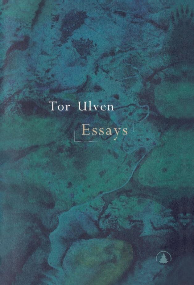 Essays
