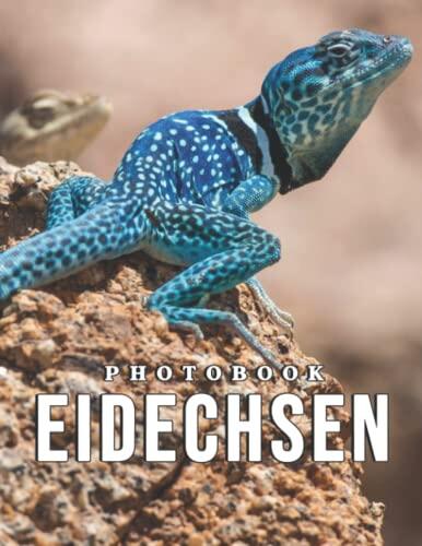 Photo Of Eidechsen: An Album Consist Of Compelling Photos Of Eidechsen With High Quality Images As A Special Gift For Friends, Family, Lovers, Relative