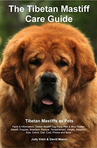 The Tibetan Mastiff Care Guide Tibetan Mastiff as Pets Facts & Information: Tibetan Mastiff Dog Price, Red & Blue Tibetan Mastiff, Puppies, Breeders, Rescue, ... Temperament, Weight, Adoption, Size, Color