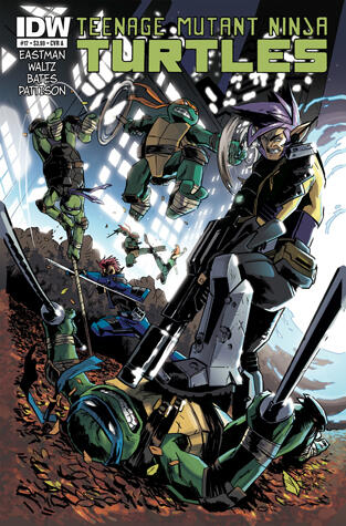 Teenage Mutant Ninja Turtles #17
