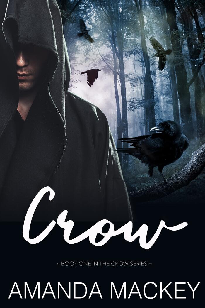 Crow: A dark romance