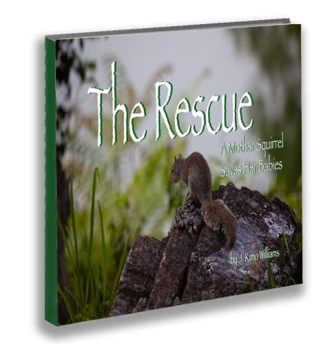 The Rescue