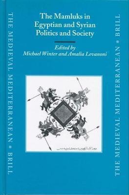Mamluks in Egyptian and Syrian Politics and Society. the Medieval Mediterranean: Peoples, Economies and Cultures, 400-1500, Volume 51