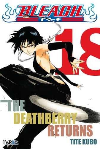 Bleach, tomo 18: The Deathberry Returns