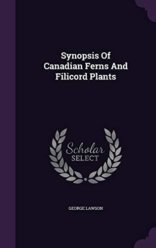 Synopsis Of Canadian Ferns And Filicord Plants