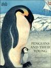 Penguins and Their Young