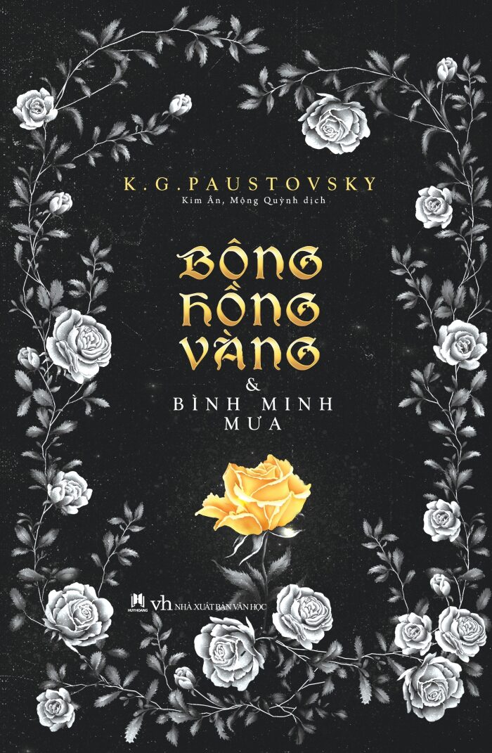 Bông hồng vàng và bình minh mưa