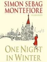 One Night in Winter