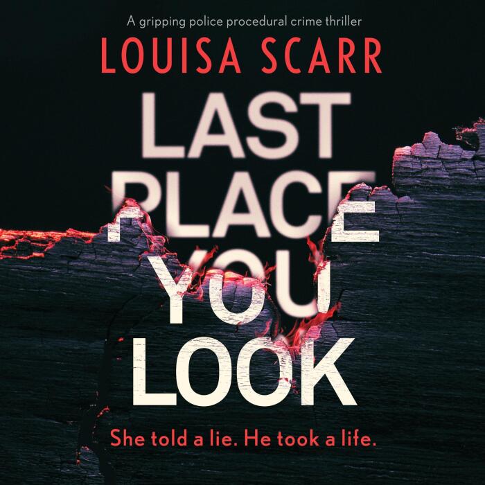 Last Place You Look. A gripping police procedural crime thriller: Butler & West 1