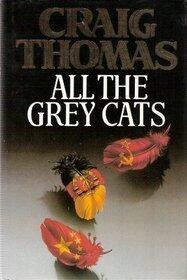 All the grey cats