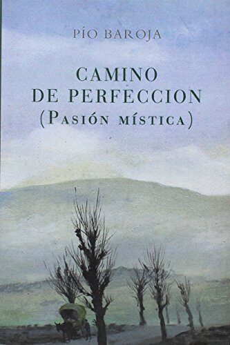 CAMINO DE PERFECCION