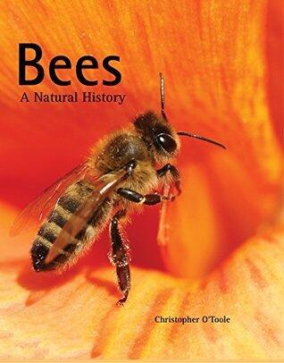 Bees: A Natural History