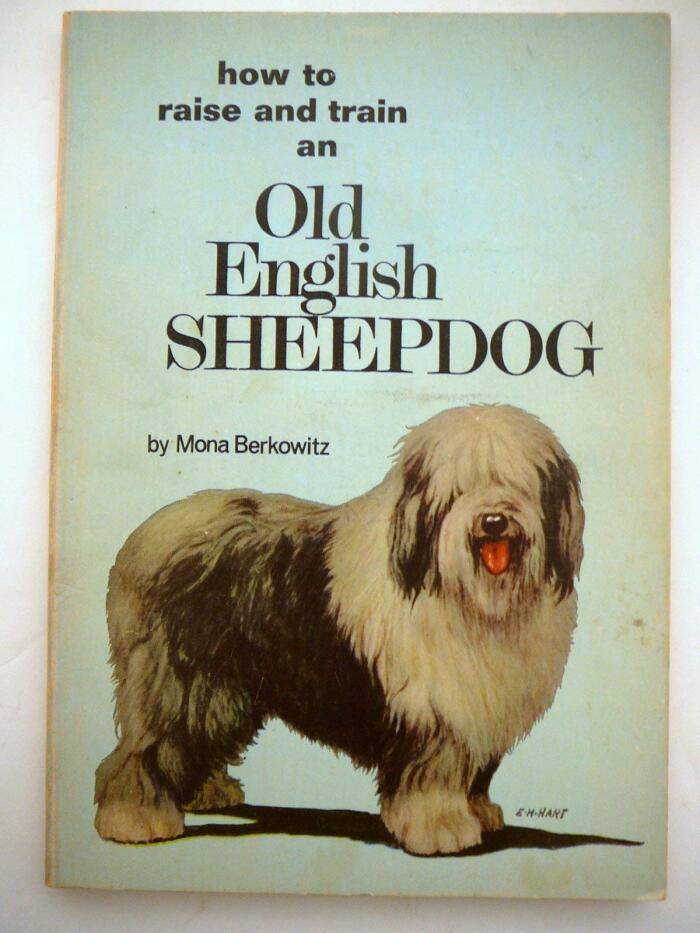 Old English Sheepdog