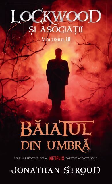 Băiatul din umbră