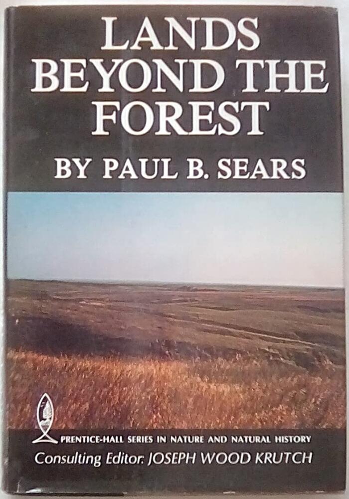 Lands Beyond the Forest