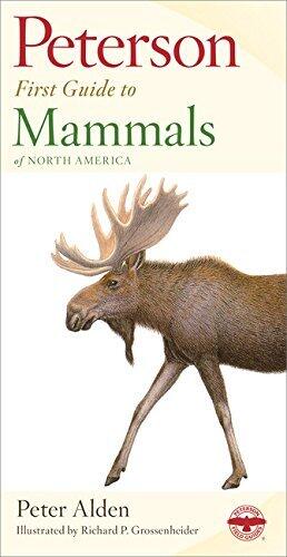 Peterson First Guide Mammals of North America