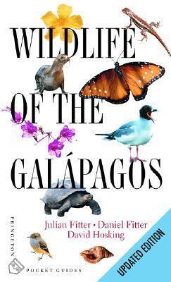 Wildlife of the Galápagos