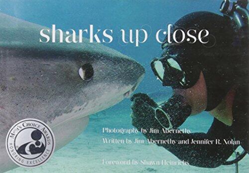 Sharks Up Close