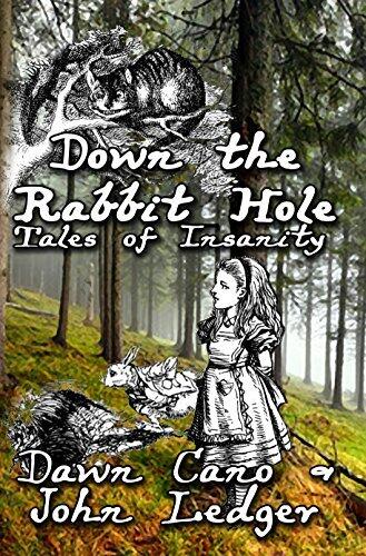 Down the Rabbit Hole: Tales of Insanity