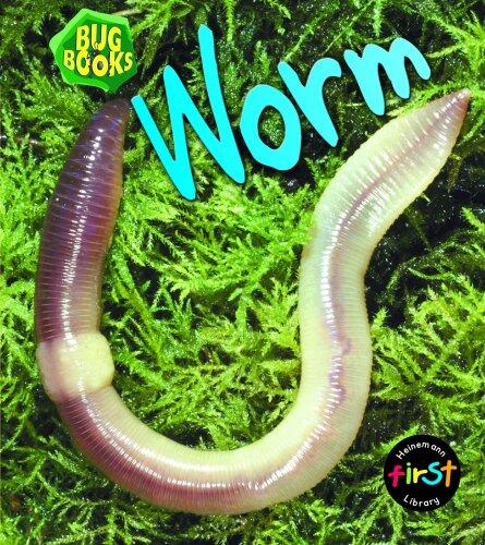 Worm (Bug Books)