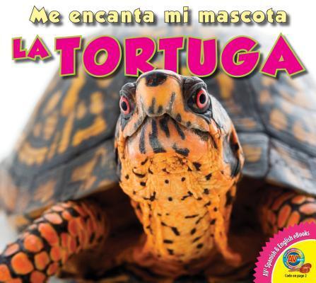 La Tortuga / Tortoise