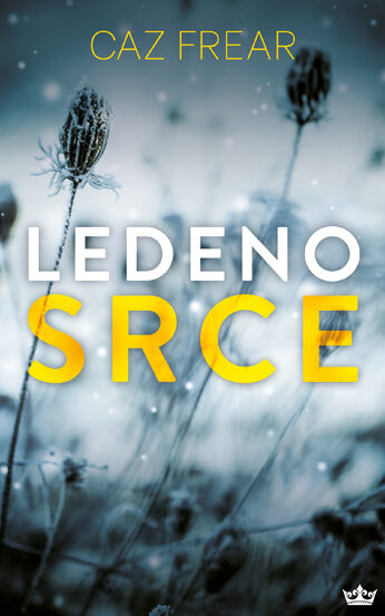 Ledeno srce