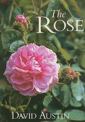 The Rose