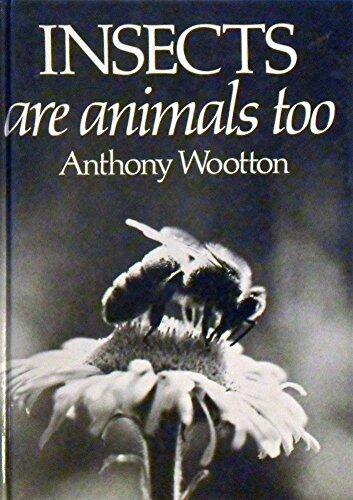 Insects are animals, too