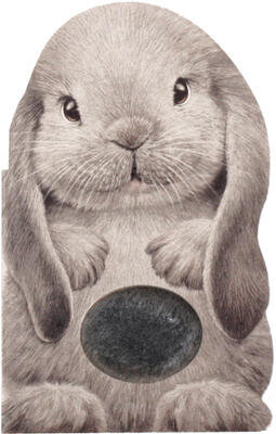 Furry Bunny: A Mini Touch and Feel Book for Baby and Toddler (Sweet Shower Gift, Easter Gift, Sensory Book, Baby Animals Book)