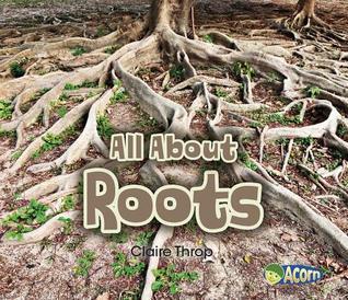 All About Roots