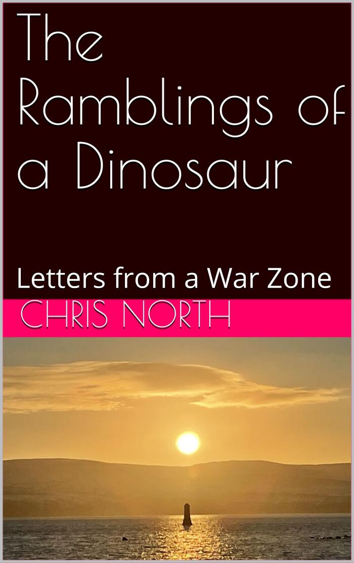 The Ramblings of a Dinosaur: Letters from a War Zone