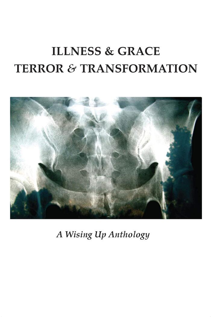 Illness & Grace, Terror & Transformation