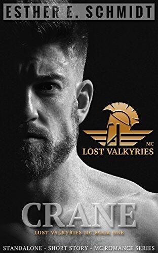 Lost Valkyries MC