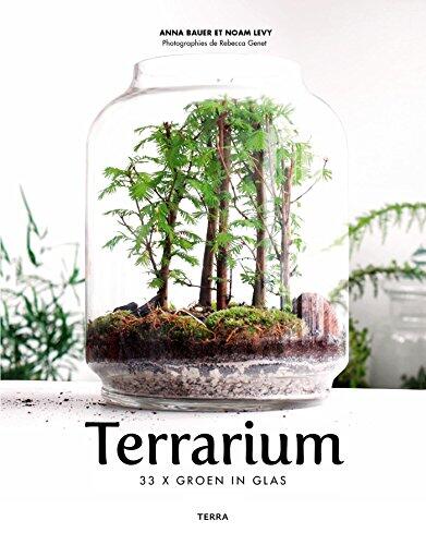Terrarium: 33 x Groen en Glas