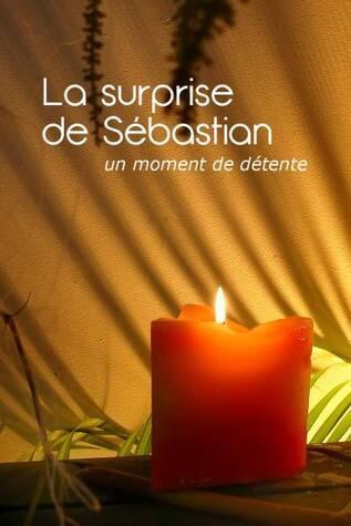 La Surprise de Sébastien