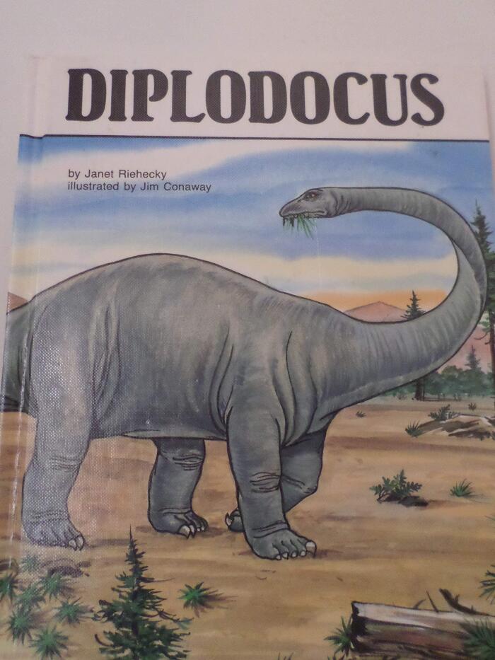 Diplodocus : Dinosaurs Series