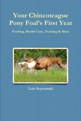 Your Chincoteague Pony Foal’s First Year: Feeding, Health Care, Training & More