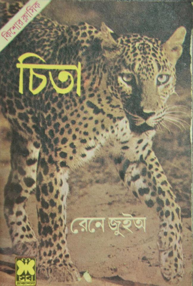চিতা