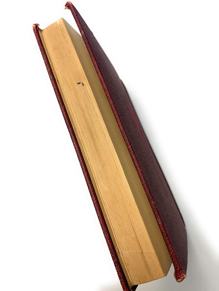 THE WORKS OF ALEXANDRE DUMAS IN 30 VOLUMES-THE TWO DIANAS VOL. 1 - ILLUSTRATED WITH DRAWINGS ON WOOD BY EMINENT FRENCH AND AMERICAN ARTISTS