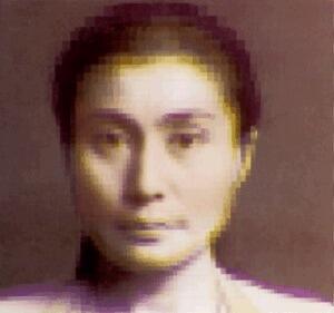 Yoko Ono - Have You Seen The Horizon Lately?