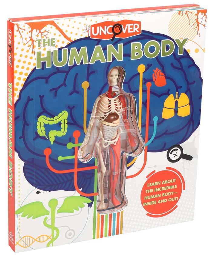 Uncover the Human Body