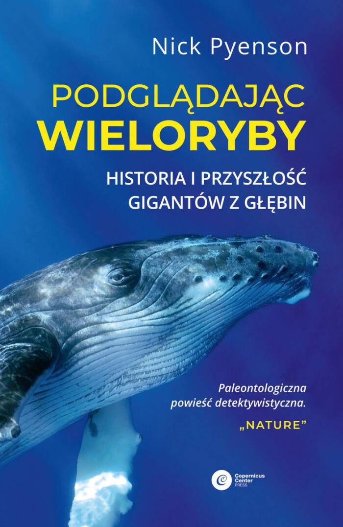 Podglądając Wieloryby: Historia i Przyszłość Gigantów z Głębin
