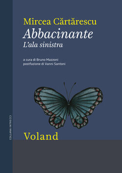 Abbacinante: L'ala sinistra