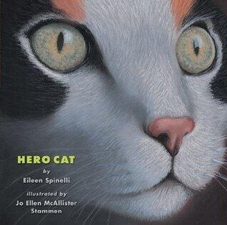 Hero Cat